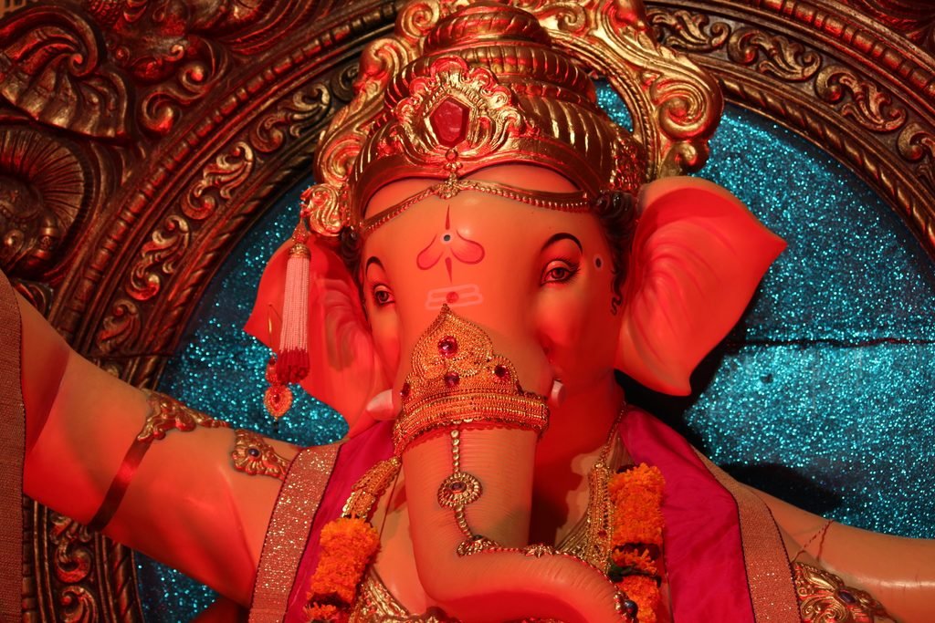 IMG_2471